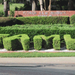 FAMU