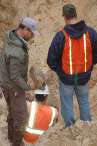 Crews excavate tortoise burrows in preparation for Wekiva Parkway construction (Photo credit: FDOT)