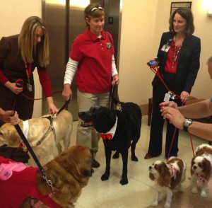 Pet therapy teams at MD Anderson – Orlando pose for photos on their parade through the hospital on Valentine’s Day. February 14, 2013 (Photo: MD Anderson-Orlando)