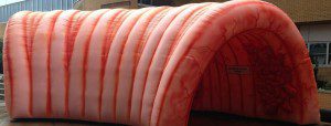 Giant Inflatable Colon - MD Anderson Cancer Center Orlando (Photo: OPMsBMuGcd)