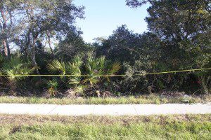 Area were skeletal remains of African-American female were found. (Photo: OCSO)