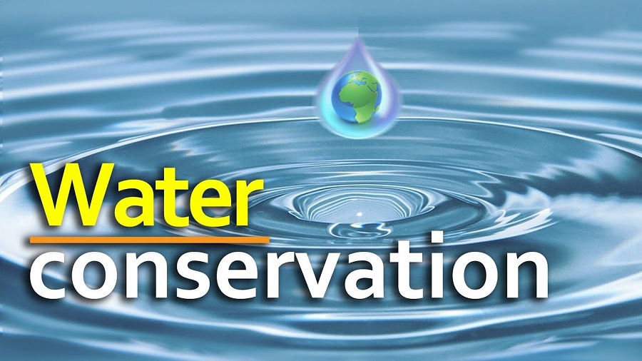 Fall Back to Watering One Day a Week and Other Tips for Conserving Water