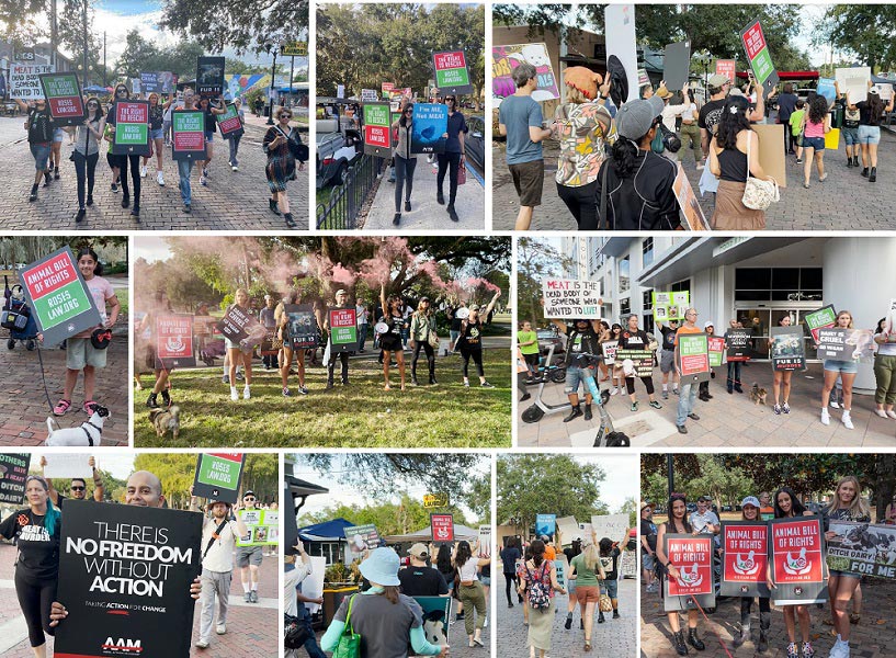Activists March Through Downtown Orlando Demanding Justice for Animals