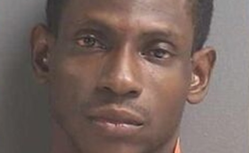 Central Florida defendant convicted of murder, car theft and burglary