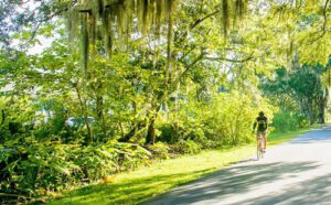 Healthy West Orange Trails Connection 