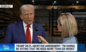 Trump Florida abortion amendment comments