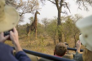 National Geographic Expeditions Southern Africa 