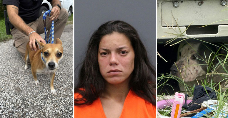 Central Florida Woman Arrested for Animal Cruelty, Child Neglect