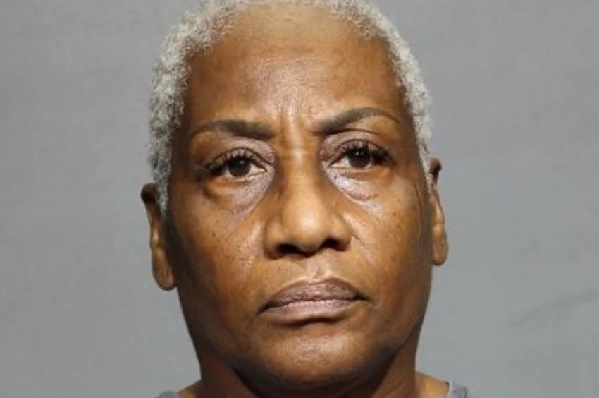 Florida Woman Arrested for Running Over Baby Ducklings